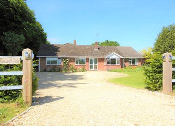 Thumbnail 4 bed detached bungalow to rent in Mount Hermon Road, Palestine, Andover