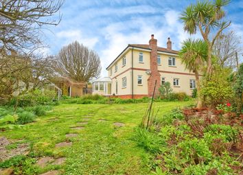 Thumbnail Detached house for sale in Ash Grove, Wells