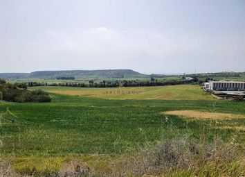 Thumbnail Land for sale in Pyla, Cyprus
