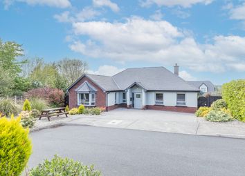 Thumbnail 4 bed detached bungalow for sale in 69 Coill Aoibhinn, Newtown Road, Wexford County, Leinster, Ireland