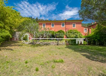 Thumbnail 8 bed farmhouse for sale in Migliano, Camaiore, Lucca, Tuscany, Italy