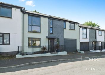 Property listing in Totnes, Devon
