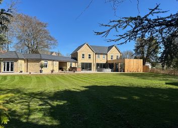 Lawn