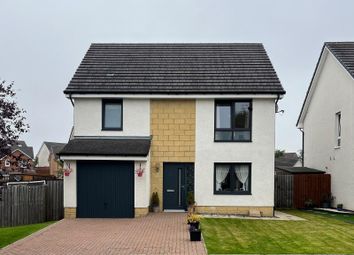 Thumbnail Detached house to rent in Cypress Road, Newarthill, Motherwell, Lanarkshire