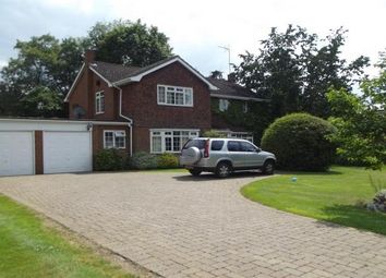 5 Bedroom  for rent