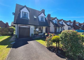 Thumbnail 4 bed detached house for sale in Bramble Avenue, Newtownabbey
