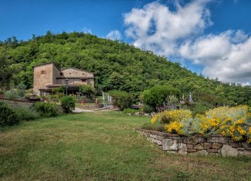 Thumbnail 15 bed country house for sale in Greve In Chianti, Greve In Chianti, Toscana