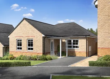 Holm External CGI