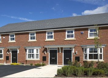 3 Bedrooms Terraced house for sale in Blue Cedar Way, Plot 149, Black Firs Park, Somerford, Congleton CW12