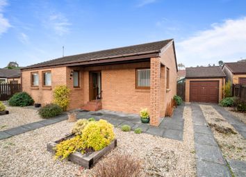 Thumbnail 2 bed detached bungalow for sale in Bonnet Court, Stewarton, East Ayrshire