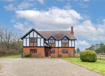 Thumbnail Detached house to rent in Hastoe Hill, Hastoe, Tring, Hertfordshire