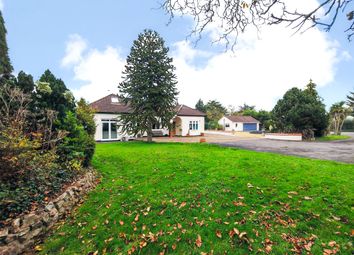 Thumbnail 4 bed bungalow for sale in Taunton Road, Bishops Lydeard, Taunton, Somerset