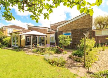 Thumbnail Semi-detached bungalow for sale in Monks Dale, Yeovil