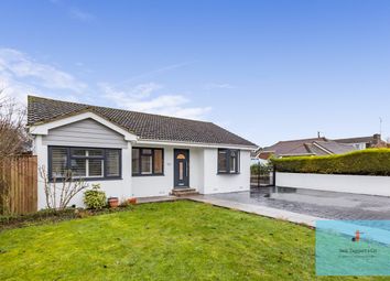 Thumbnail 4 bed detached bungalow for sale in Castle Close, Bramber, Steyning