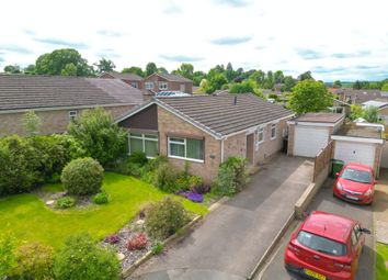 Thumbnail Detached bungalow for sale in Danum Road, Ross-On-Wye