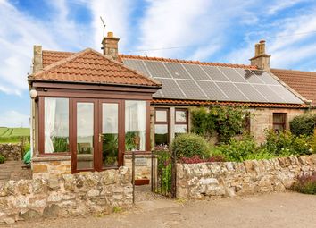Thumbnail Semi-detached house for sale in Wester Pitkierie, By Anstruther