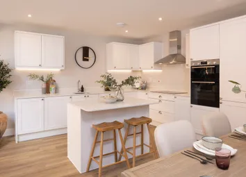 Wintergreen | Kitchen