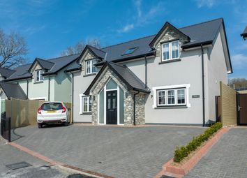 Thumbnail 4 bed detached house for sale in Caeberllan, Newcastle Emlyn, Ceredigion