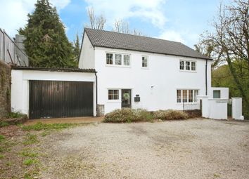 Thumbnail Detached house for sale in Viaduct Lane, Hengoed