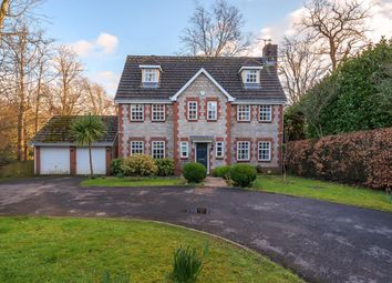 Sketty - 6 bed detached house for sale