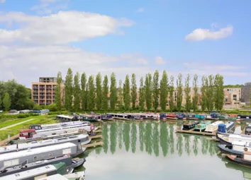 Campbell Wharf View