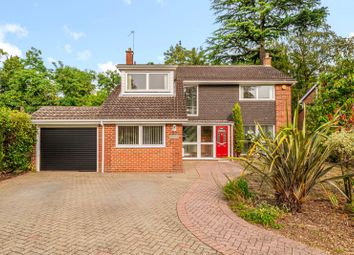 Thumbnail Detached house to rent in Netherby Park, Weybridge