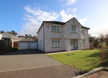 Thumbnail Detached house to rent in Red Squirrel Way, Dundee