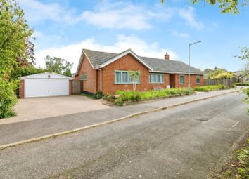 Thumbnail Bungalow for sale in White House Gardens, Beccles