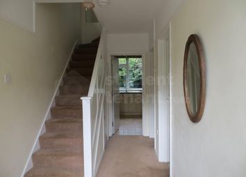 5 Bedroom  for rent