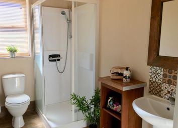 Bright, Well-Kept Bathroom Featuring A Modern Show...