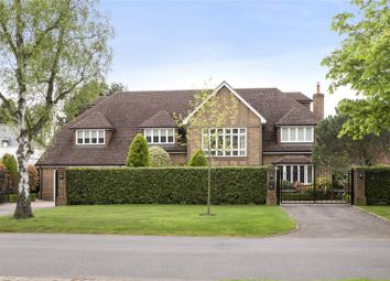 Cobham - 6 bed detached house to rent