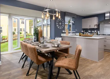 Hollinwood Kitchen