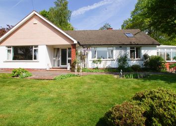 Thumbnail Detached bungalow for sale in Wordsworth Street, Penrith