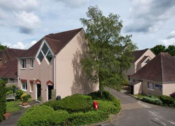 Thumbnail Flat for sale in Lion Mead, Haslemere