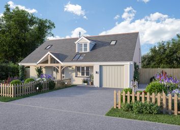Thumbnail Detached house for sale in Foxtail Meadow, Bradworthy, Holsworthy