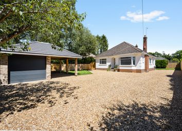 Thumbnail 3 bed detached bungalow for sale in Woodside Road, Dorset