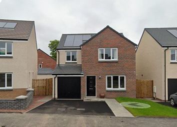 Thumbnail 4 bed detached house to rent in Seggie Drive, Guardbridge, Fife