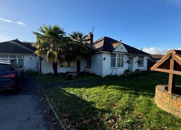 Thumbnail 5 bed bungalow to rent in Honey Hill, Whitstable