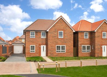 Thumbnail 4 bedroom detached house for sale in "Radleigh" at Buttercup Drive, Newcastle Upon Tyne
