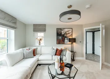 Allowing Plenty Of Light To Brighten The Room