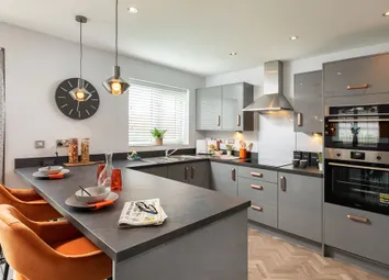 Showhome Photography