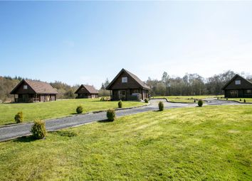 Thumbnail Leisure/hospitality for sale in Benview Lodges, Ward Toll Balfron Station, Gartmore, Glasgow