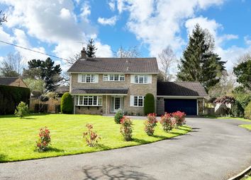 Thumbnail Detached house for sale in Rhinefield Road, Brockenhurst