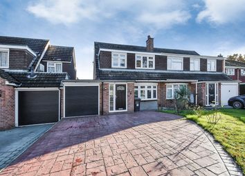 Thumbnail Semi-detached house for sale in Roughtons, Galleywood, Chelmsford