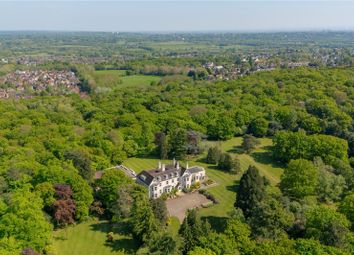 Holmehurst