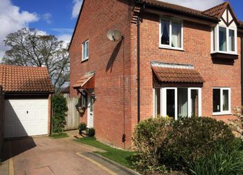 Thumbnail Semi-detached house to rent in Chestnut Drive, Newton Abbot
