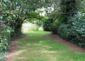 4 Bedroom Semi-detached house for rent