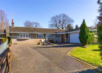 4 Bedrooms Bungalow for sale in Mid Street, South Nutfield, Redhill, Surrey RH1