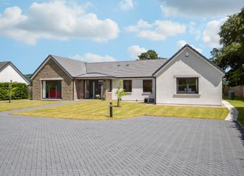 Thumbnail 3 bed bungalow for sale in Brucefield Road, Blairgowrie, Perthshire