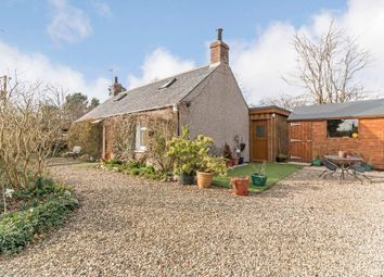 Thumbnail 1 bed cottage to rent in Luthermuir, Laurencekirk